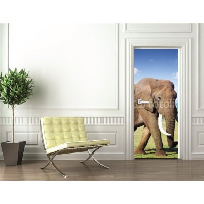 WEBLUX 44048170 Samolepka na dveře fólie Elephant with large tusks Slon s velkými kly rozměry 90 x 220 cm – Zboží Mobilmania