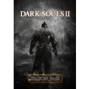 hra pro PC Dark Souls 2 Season Pass