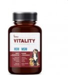 Akinu Vitality MSM 200 g – Zboží Mobilmania