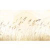 Tapety LJX8-063 Fototapeta vliesová Dune Grass rozměry 400x250 cm