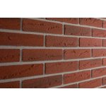 Elastolith Colorado 210 x 50 mm 1m² – Zboží Mobilmania