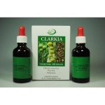 Ondřej Ullrich Clarkia tinktura proti hlístům 2 x 50 ml – Hledejceny.cz