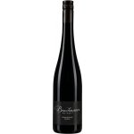 Weingut Brachmann Grüner Veltliner "Alte Reben" 2024 13,5% 0,75 l (holá láhev) – Hledejceny.cz