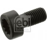 Šroub setrvačníku FEBI BILSTEIN 07584