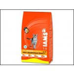 Iams ProActive Health Adult Original kuře 3 kg – Hledejceny.cz