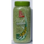 Bohemia Cosmetics Eucalyptus relaxační koupelová sůl 900 g – Zboží Mobilmania