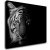 Obraz Impresi Obraz Tygr černobílý - 90 x 70 cm