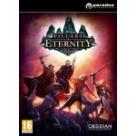 Pillars of Eternity (Hero Edition) – Hledejceny.cz