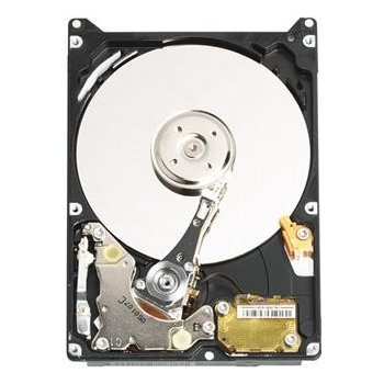 WD Scorpio Blue 320GB, 2,5", SATAII, 5400rpm, WD3200BEVT