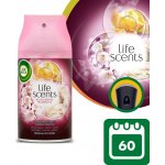 Air Wick Freshmatic náplň radostné léto 250 ml – Sleviste.cz