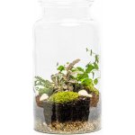 Gardners Skleněná váza Digitalis se zúženým otvorem - výška 35 cm, průměr 19 cm - osázené vlhkomilně – Hledejceny.cz