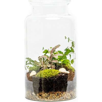 Gardners Skleněná váza Digitalis se zúženým otvorem - výška 35 cm, průměr 19 cm - osázené vlhkomilně – Hledejceny.cz