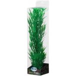 ATG Premium rostlina velká 38 až 42 cm 507 – Sleviste.cz