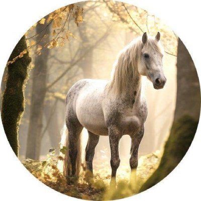 Jedlý papír kůň v lese 19,5cm PICTURE – Zboží Mobilmania