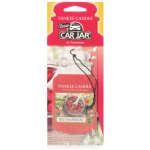 Yankee Candle Red Raspberry papírová visačka – Hledejceny.cz