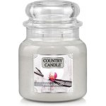 Country Candle Vanilková orchidej 453 g – Hledejceny.cz