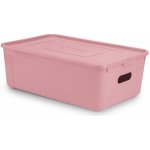 KOZÁČEK Box úložný MULTIBOX KOLOR průhmaty 39 x 26 x 13 cm 11L mix barev – Zboží Dáma
