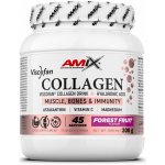 Amix Viscofan Collagen drink forest fruit 300 g – Hledejceny.cz