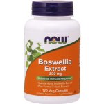 Now Foods Boswellia Extrakt + Kurkuma 250 mg 120 kapslí – Hledejceny.cz