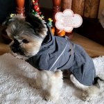 Hurtta Expedition Parka II – Zboží Dáma