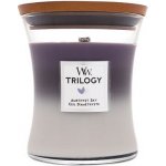 WoodWick Trilogy Amethyst Sky 275 g – Zboží Mobilmania