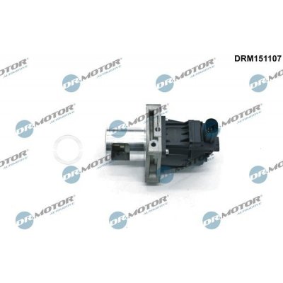 AGR-Ventil Dr.Motor Automotive DRM151107 – Hledejceny.cz