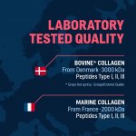WoldoHealth® Mořský a hovězí kolagen Malina 25 x 12 g – Hledejceny.cz