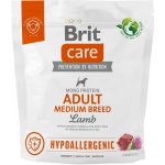 Brit Care Hypoallergenic Adult Medium Breed Lamb 1 kg
