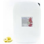 PM Aqualog esence do parních kabin medový meloun 831-010/D 10 l – Hledejceny.cz