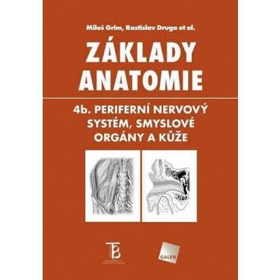 Základy anatomie 4b - Periferní nervový systém, smyslové orgány a kůže - Grim Miloš, Druga Rastislav