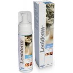 ICF Leniderm foam 200 ml – HobbyKompas.cz