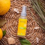 Saloos Natur aroma airspray přírodní osvěžovač vzduchu Citron 50 ml – HobbyKompas.cz