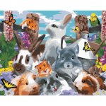 Zuty Malování podle čísel HLODAVCI NA ZAHRADĚ A ANDULKA HOWARD ROBINSON – Hledejceny.cz