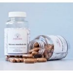 Salvia Paradise Rdesno mnohokvěté standardizovaný extrakt 60 kapslí – Hledejceny.cz