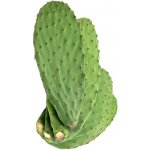 EasyFish list Opuncie 700-800 g – Zboží Mobilmania