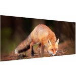 Obraz - Lišák v lese, jednodílný 120x50 cm – Hledejceny.cz