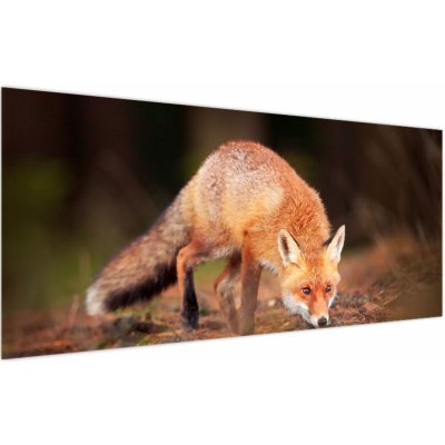 Obraz - Lišák v lese, jednodílný 120x50 cm – Hledejceny.cz