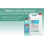 Real univerzální dezinfekce bez chloru a alkoholu rozprašovač 550 g – Hledejceny.cz