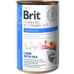 Brit Veterinary Diets Dog+Cat GF Recovery 400 g – Zboží Mobilmania