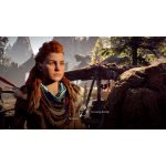 Horizon: Zero Dawn – Zboží Dáma