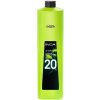 L'Oréal Inoa Oxydant vyvíjač 20 Vol 1000 ml