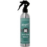 Morgan's Sea Salt texturizer do vlasů 300 ml – Hledejceny.cz