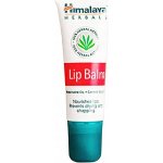 Himalaya Herbals Vyživující balzám na rty 4,5 g – Sleviste.cz