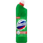 Domestos čistič WC Pine 750 ml – Sleviste.cz