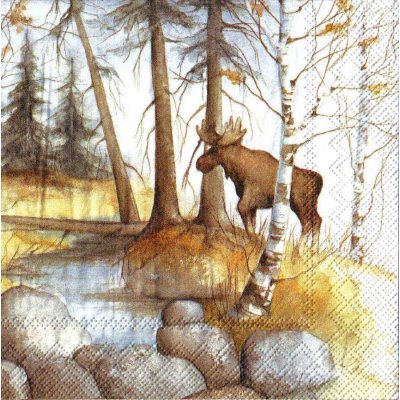 ubrousek 33x33 cm LES – Hledejceny.cz