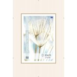 Falc Clip rám normal sklo 30x45 cm – Sleviste.cz