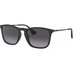 Ray-Ban RB4187 622 8G – Hledejceny.cz