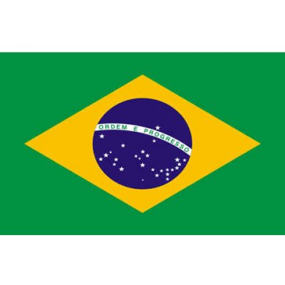 Vlajka Fostex Brazílie 1,5x1 m – Hledejceny.cz