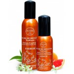 Elixirs & Co Les Fleurs de Bach Aura parfém - Energie 30 ml – Sleviste.cz