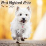 West Highland Terrier Square Dog Breed Wall 16 Month 2024 – Hledejceny.cz
